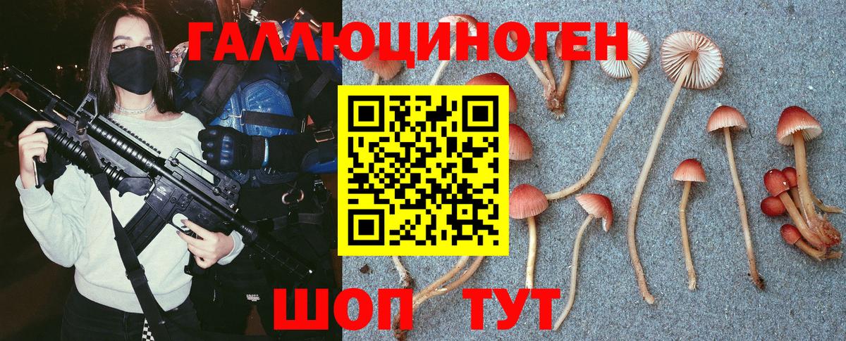 Псилоцибиновые грибы прущие грибы  Вход с VPN  даркнет сайт  Удомля 