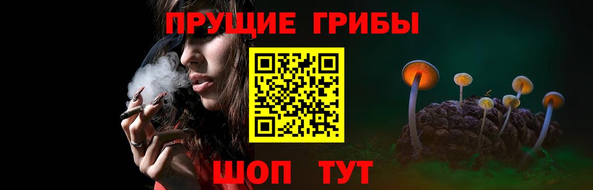 Псилоцибиновые грибы прущие грибы Удомля